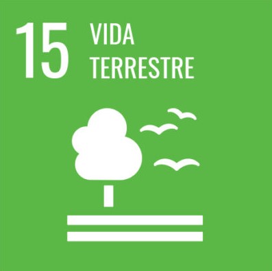 ODS - Vida Terrestre