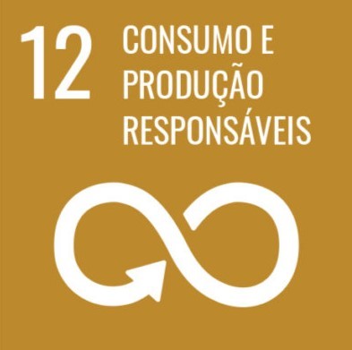 Consumo e produção responsáveis
